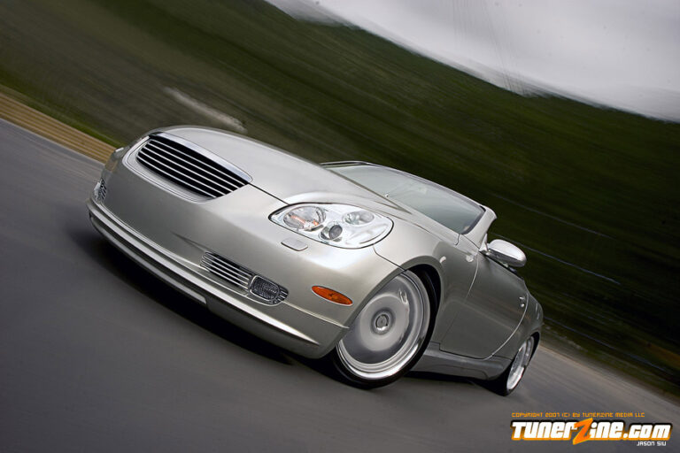 Tastefully Wald Done