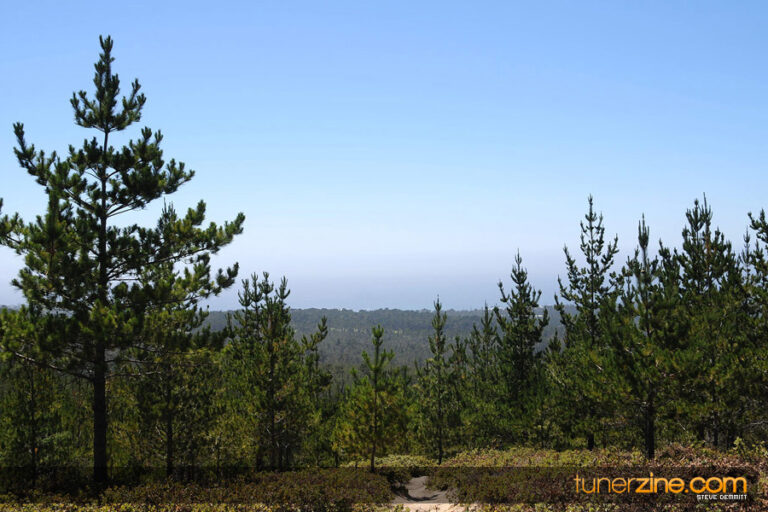 Tunerzine Tests the Lexus IS-F!