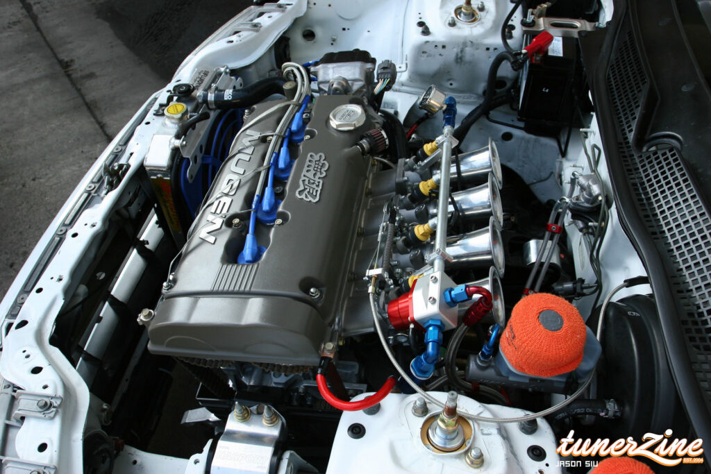 All Motor EG Giant