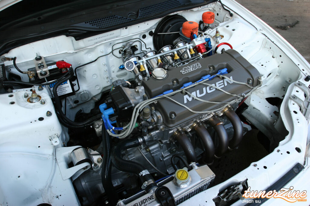 All Motor EG Giant