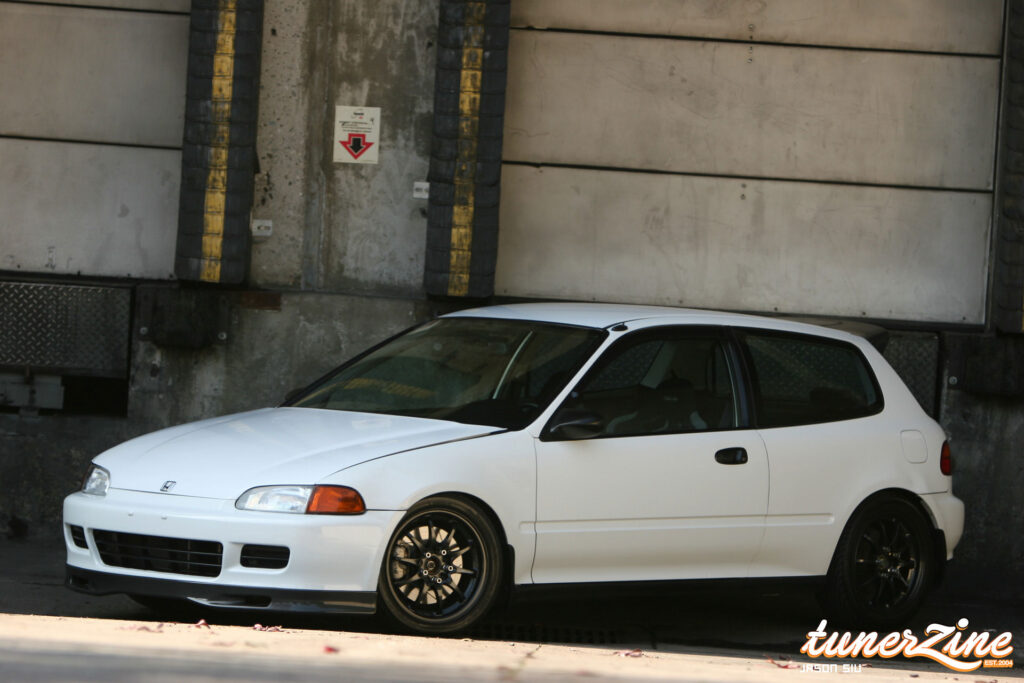 All Motor EG Giant