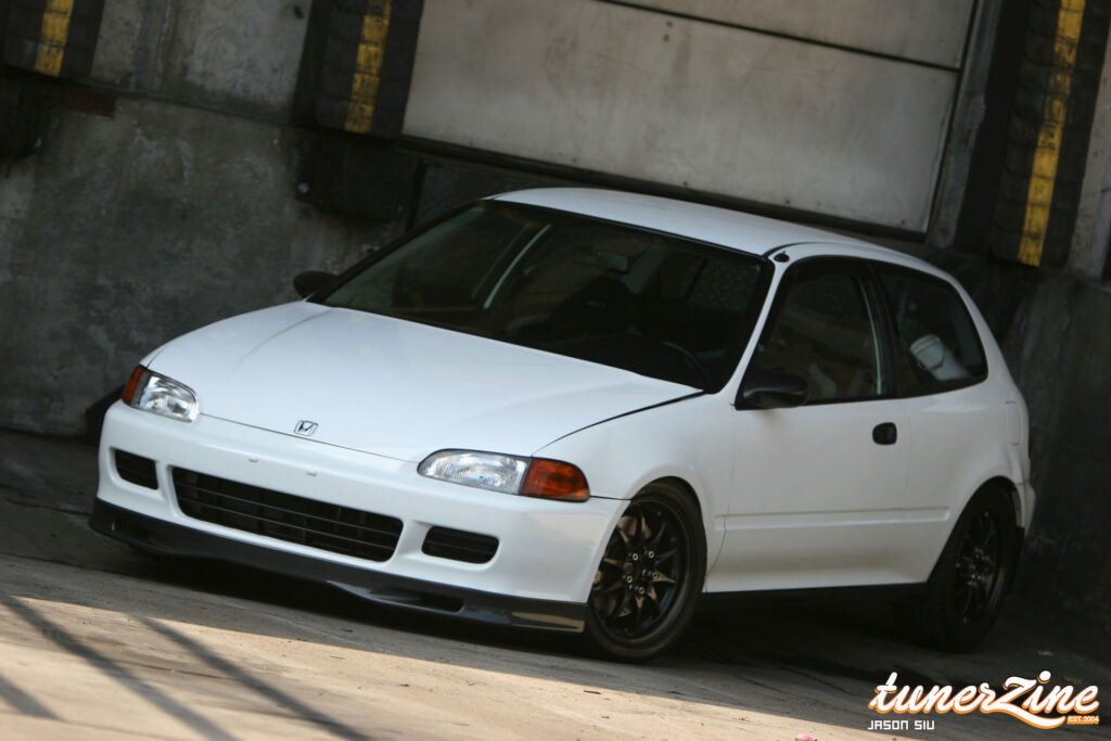 All Motor EG Giant