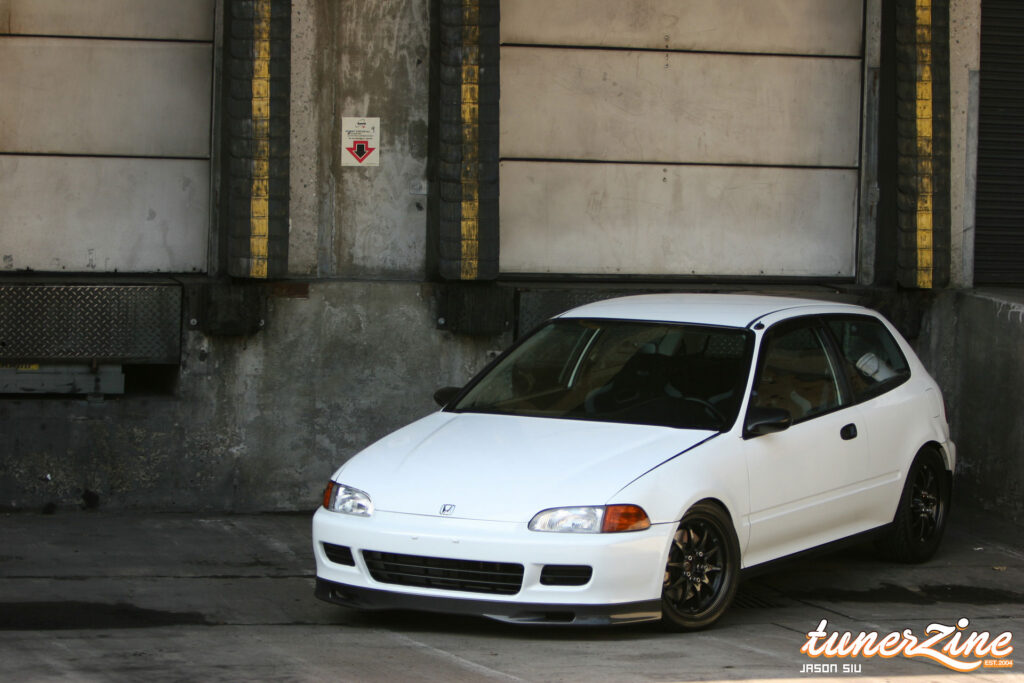 All Motor EG Giant