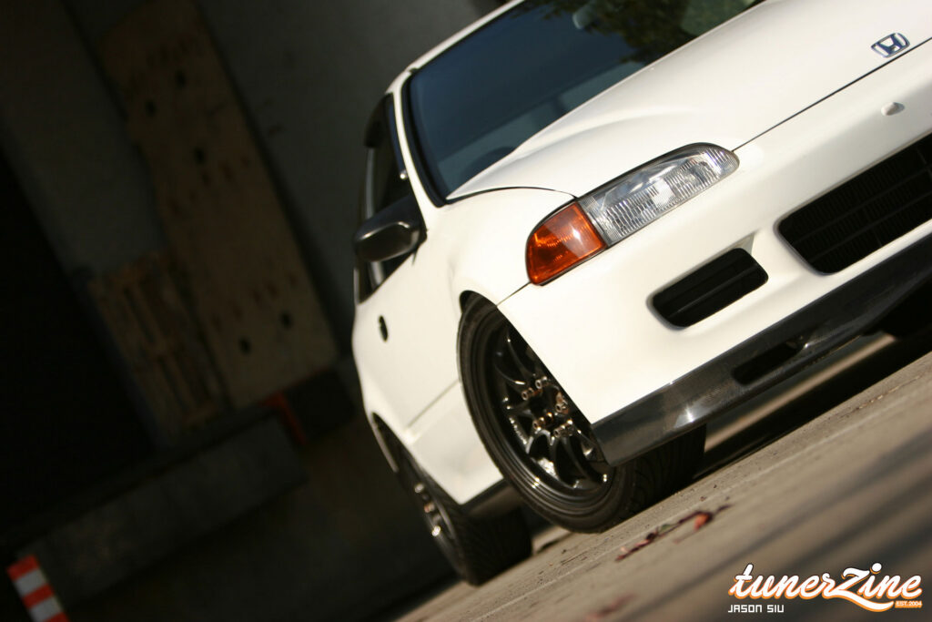 All Motor EG Giant